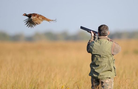Logo Association de Chasse