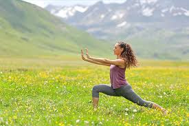 Logo La Tortue Debout