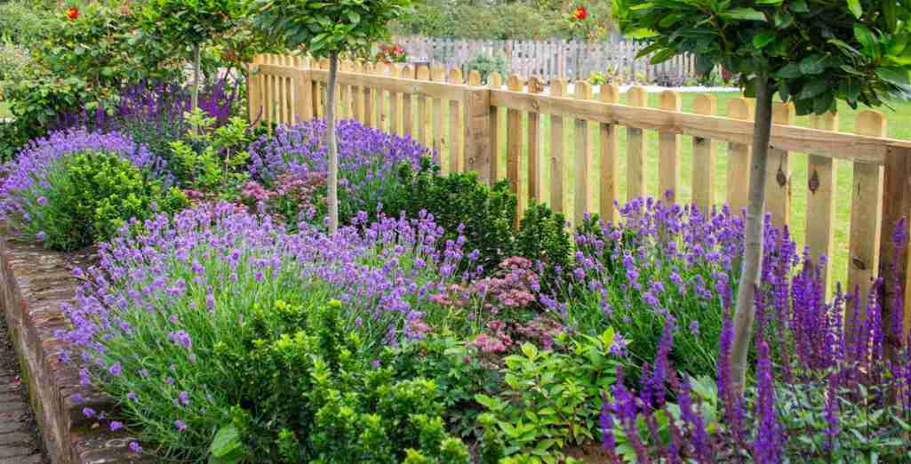 Concours des plus belles maisons fleuries