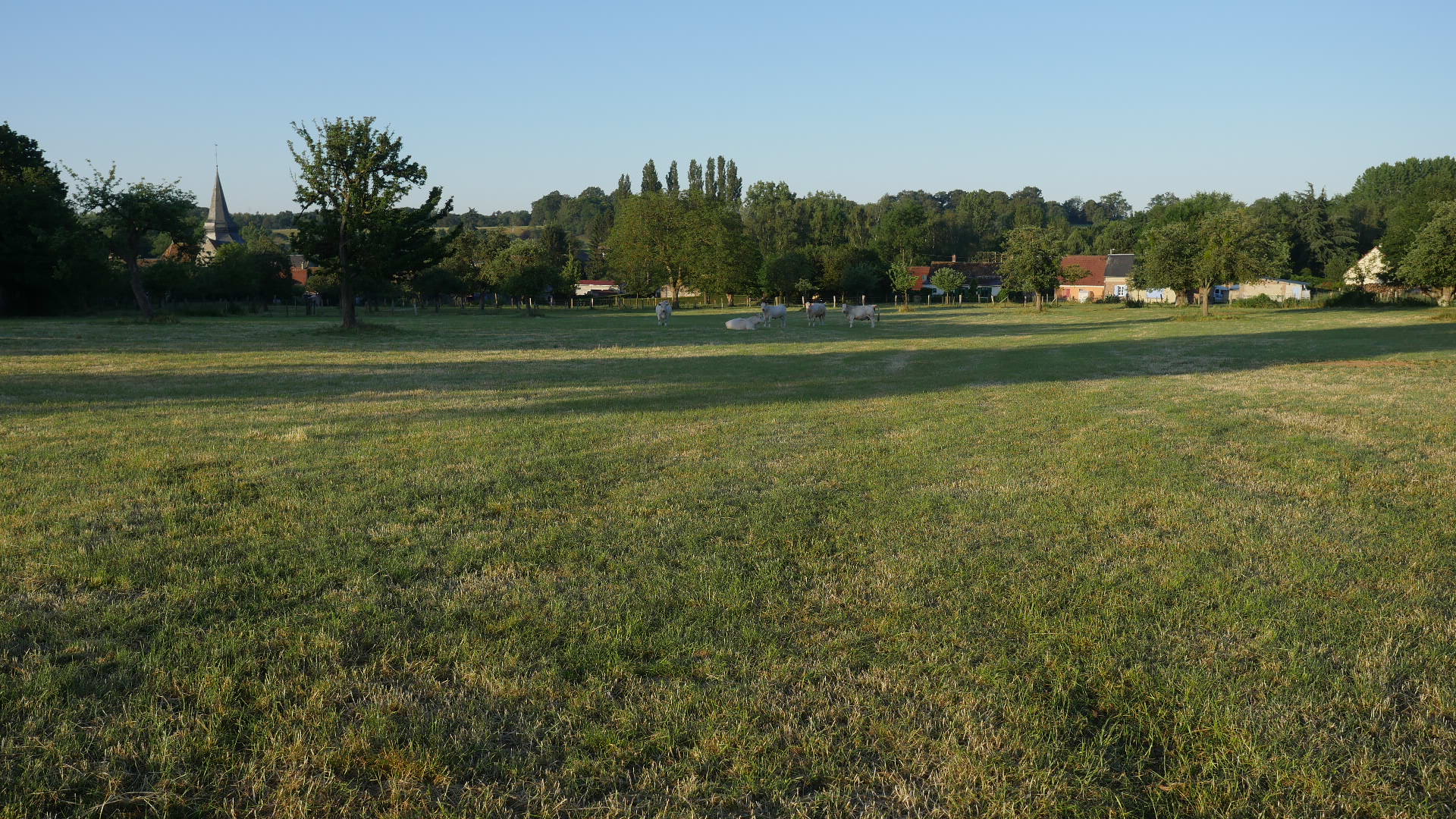 Vue du village de Blacourt depuis la prairie au matin, clocher visible en arrière-plan